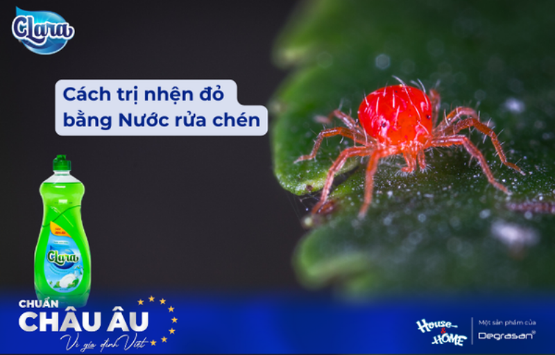 Huong dan pha che dung dich nuoc rua chen tri nhen do tuoi cay